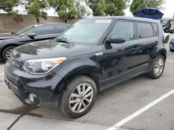 KIA Soul Vehiculos salvage en venta: 2017 KIA Soul +