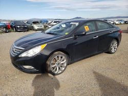 Hyundai Sonata Vehiculos salvage en venta: 2013 Hyundai Sonata SE