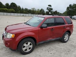 Vehiculos salvage en venta de Copart Hampton, VA: 2011 Ford Escape XLT