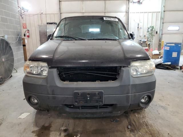 2005 Ford Escape XLT