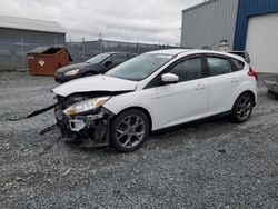 Ford Focus SE salvage cars for sale: 2013 Ford Focus SE