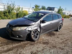 Ford salvage cars for sale: 2014 Ford Focus SE