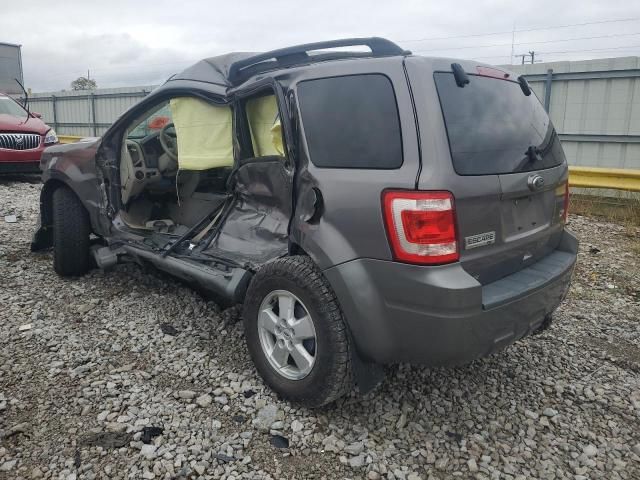 2010 Ford Escape XLT