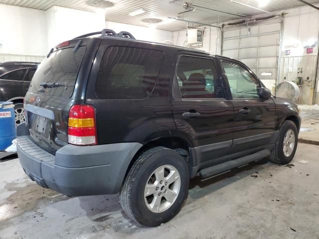 2005 Ford Escape XLT