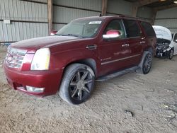 Cadillac salvage cars for sale: 2009 Cadillac Escalade