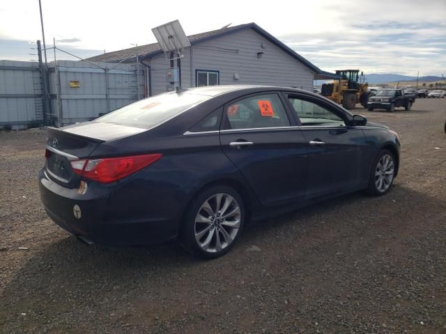 2013 Hyundai Sonata SE