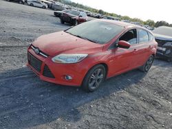 2012 Ford Focus SE for sale in Madisonville, TN