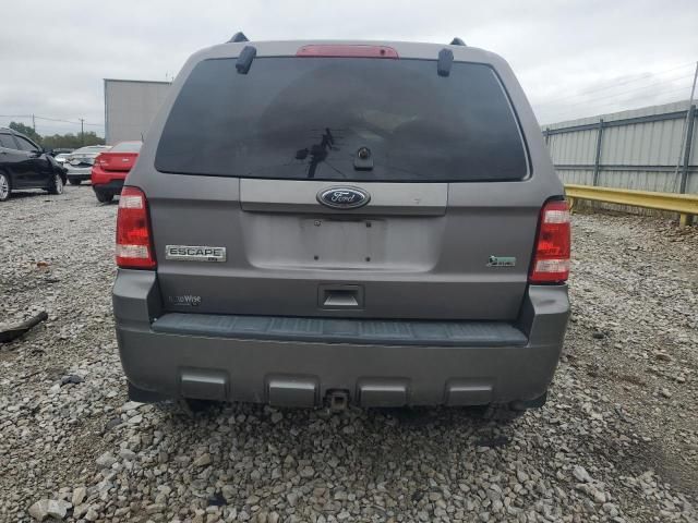 2010 Ford Escape XLT