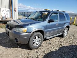 2005 Ford Escape XLT for sale in Helena, MT