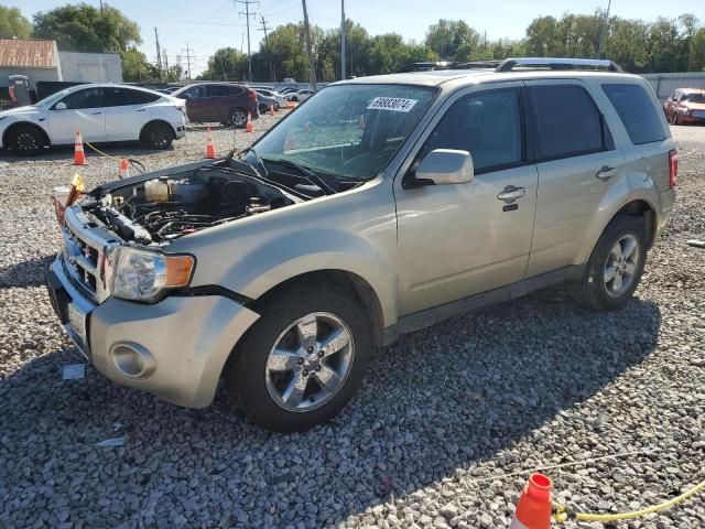 2012 Ford Escape Limited