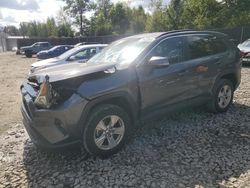 Toyota rav4 salvage cars for sale: 2021 Toyota Rav4 XLE