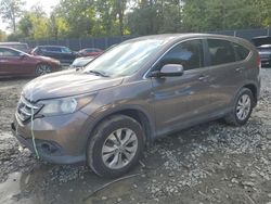 Honda salvage cars for sale: 2014 Honda CR-V EX