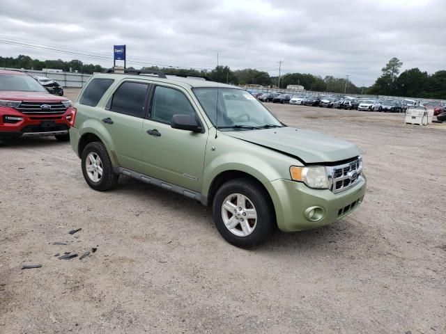 2008 Ford Escape HEV