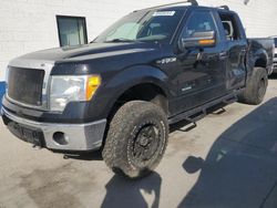 2014 Ford F150 Supercrew for sale in Farr West, UT