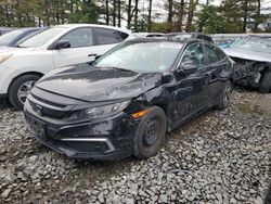 Honda Civic lx salvage cars for sale: 2019 Honda Civic LX