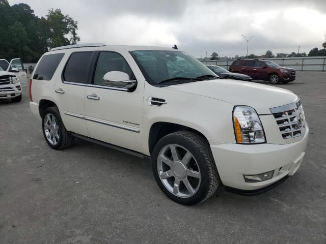 2011 Cadillac Escalade Premium