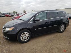 Honda salvage cars for sale: 2016 Honda Odyssey LX