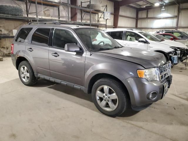 2010 Ford Escape Limited