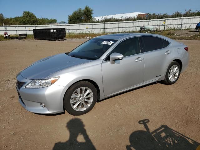 2013 Lexus ES 300H