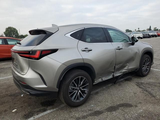 2024 Lexus NX 350 Base