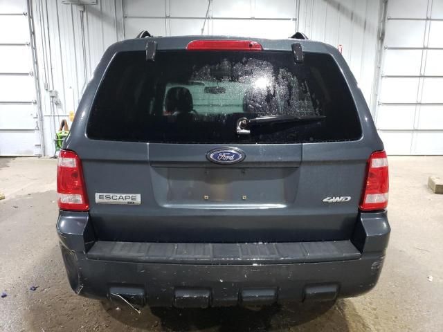 2008 Ford Escape XLT