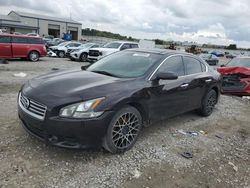 Nissan Maxima salvage cars for sale: 2012 Nissan Maxima S