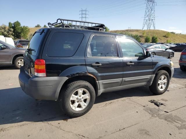 2007 Ford Escape XLT