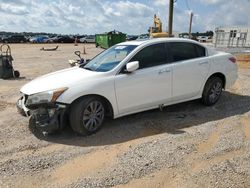 Honda Accord salvage cars for sale: 2011 Honda Accord EXL