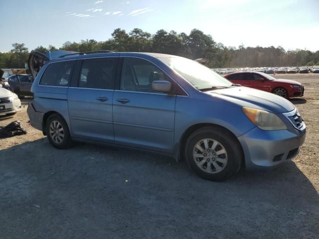 2010 Honda Odyssey EXL