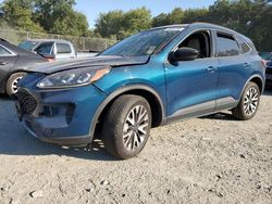 Ford Escape salvage cars for sale: 2020 Ford Escape SE Sport