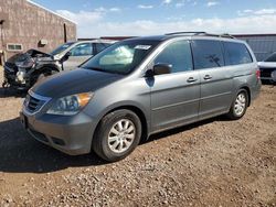 Honda salvage cars for sale: 2008 Honda Odyssey EXL