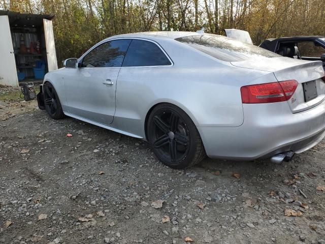 2010 Audi S5 Prestige