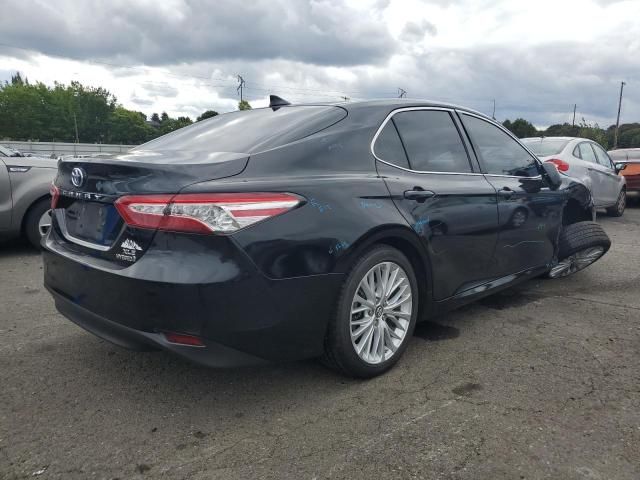 2019 Toyota Camry Hybrid