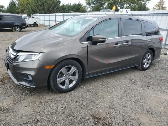 2019 Honda Odyssey EXL