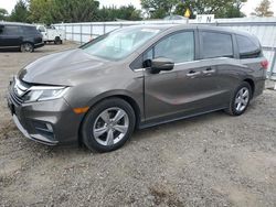 2019 Honda Odyssey EXL for sale in Finksburg, MD