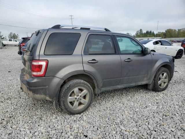 2010 Ford Escape Limited