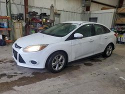 Ford salvage cars for sale: 2014 Ford Focus SE