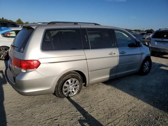 2008 Honda Odyssey EXL