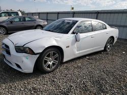 Dodge Vehiculos salvage en venta: 2014 Dodge Charger R/T