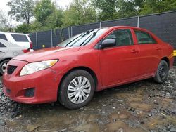 Vehiculos salvage en venta de Copart Waldorf, MD: 2010 Toyota Corolla Base