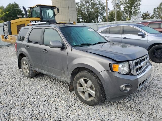 2010 Ford Escape Limited