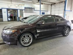 Scion tc salvage cars for sale: 2008 Scion TC