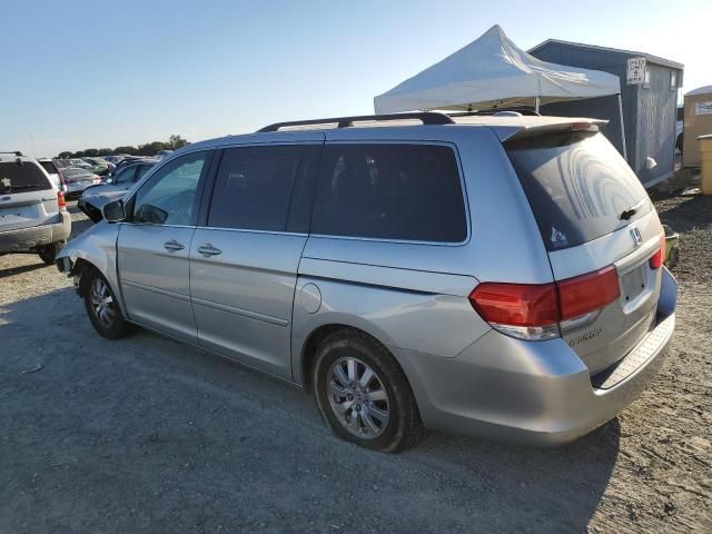 2008 Honda Odyssey EXL