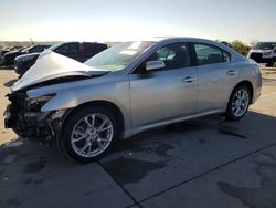 Nissan Maxima salvage cars for sale: 2013 Nissan Maxima S