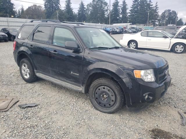 2010 Ford Escape Hybrid