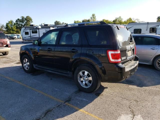 2011 Ford Escape Limited