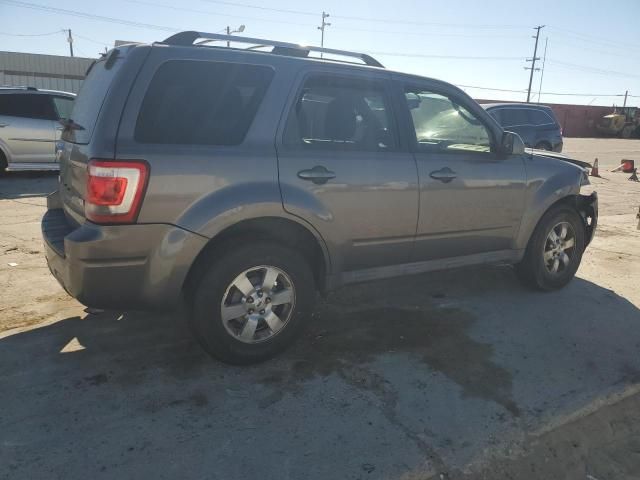 2010 Ford Escape Limited