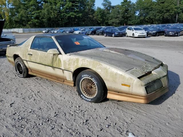 1984 Pontiac Firebird Trans AM