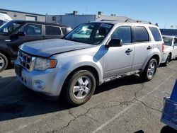 Ford Escape salvage cars for sale: 2010 Ford Escape XLT