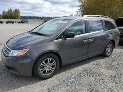 Honda Odyssey ex salvage cars for sale: 2013 Honda Odyssey EX